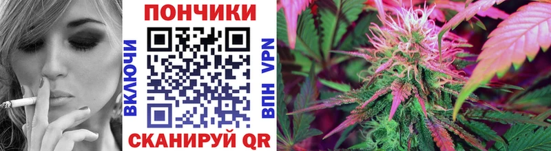 KRAKEN вход  Барнаул  Каннабис сатива 